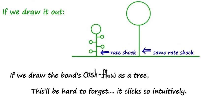 Two trees on the ground hit by the same rate shock: a short one with branches (coupons along the way) and a tall bare one (a long maturity)