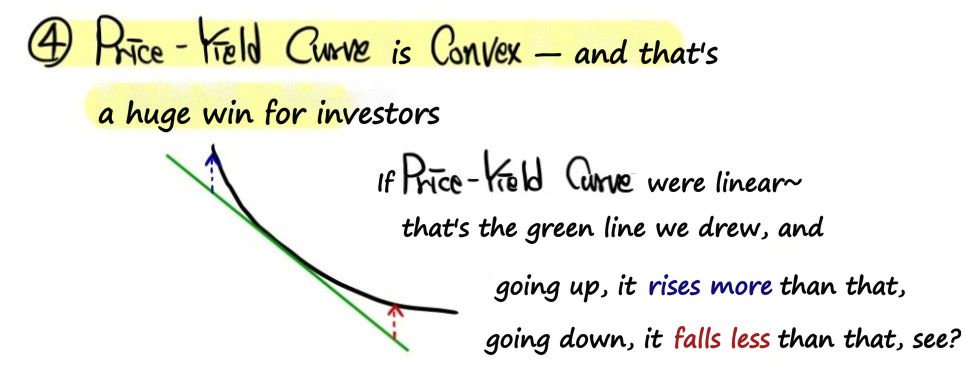 A convex price-yield curve against the straight green line it would follow if it were linear: going up the price rises more, going down it falls less, a huge win for investors