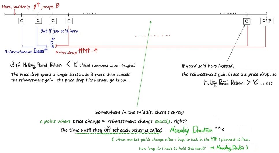 The same timeline: somewhere in the middle the price change and the reinvestment change offset exactly, and the holding period up to that point is the Macaulay duration