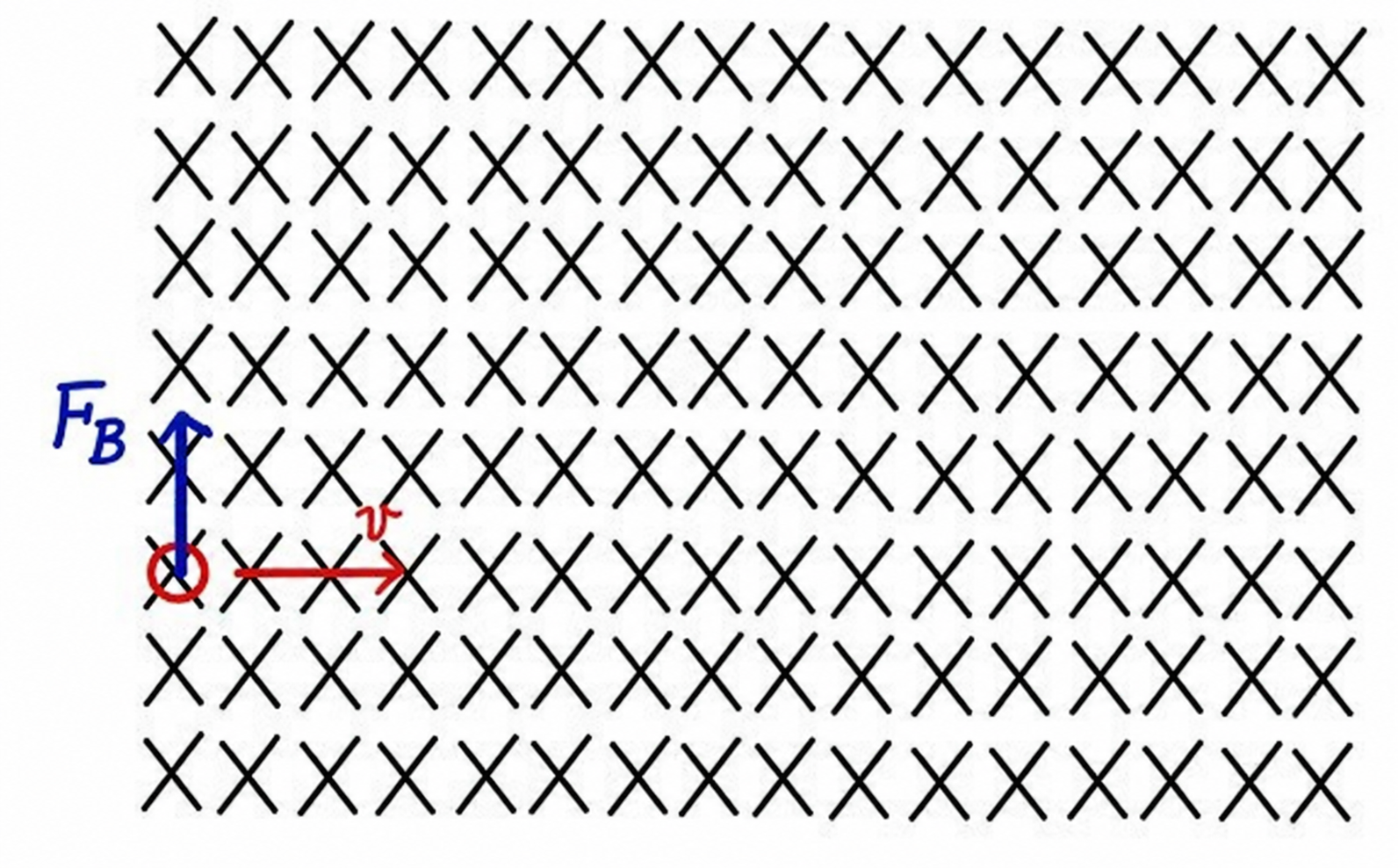 A positive charge moves right through a magnetic field into the page while the upward blue magnetic-force arrow is labeled F_B.