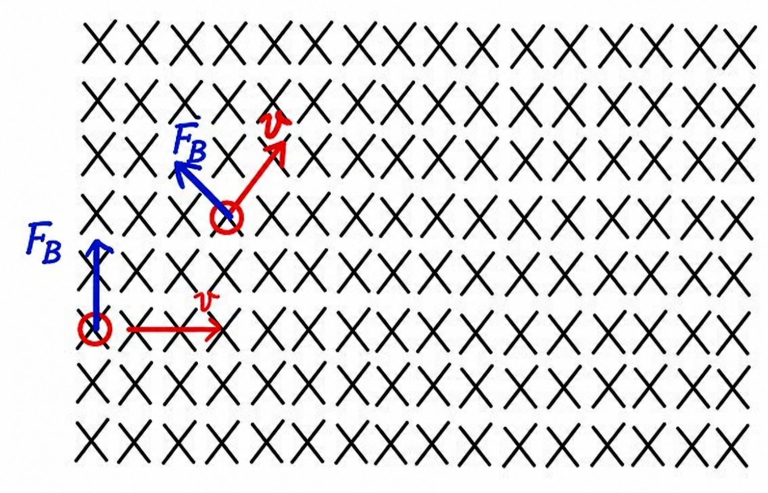 Two successive states of a positive charge show the velocity turning counterclockwise while each blue F_B arrow remains perpendicular to the velocity in a uniform field into the page.