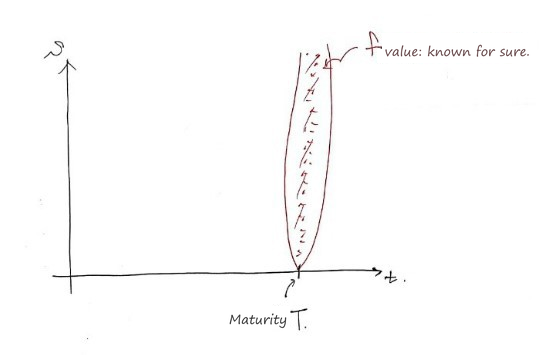 The (t, S) plane with the maturity line T circled: f value known for sure