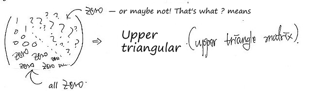 A square echelon form: zeros below the diagonal, anything above it — an upper triangular matrix