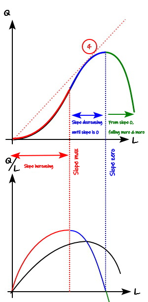 Last post&rsquo;s final picture: the production curve on top, and below it the red-blue MP_L curve and the black AP_L curve drawn on one set of axes