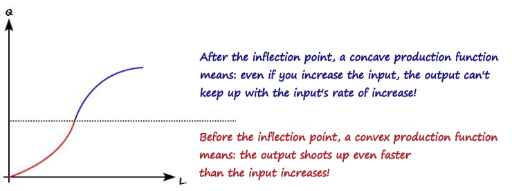 Q against L with a dotted line at the inflection point. Blue note: after the inflection point a concave production function means the output can&rsquo;t keep up with the input&rsquo;s rate of increase. Red note: before it, a convex production function means the output shoots up even faster than the input