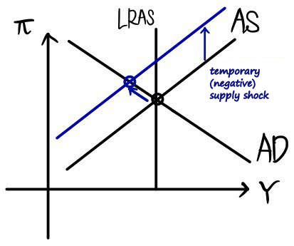 Temporary (negative) supply shock: AS jumps up, so inflation rises and output falls, while LRAS stays put