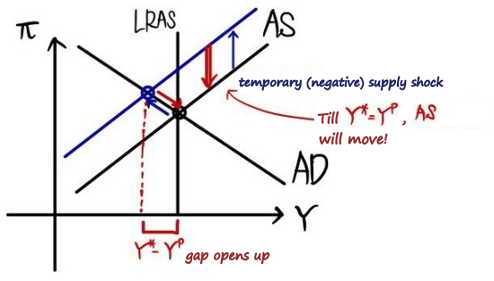 After the temporary supply shock, output sits below Y^p, so the AS curve drifts back down until Y* = Y^p and inflation is back where it started