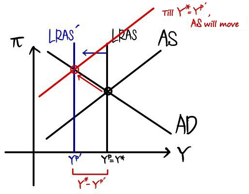 The AS curve shifts up until Y* = Y^p&rsquo;, so the new equilibrium sits on LRAS&rsquo; at higher inflation