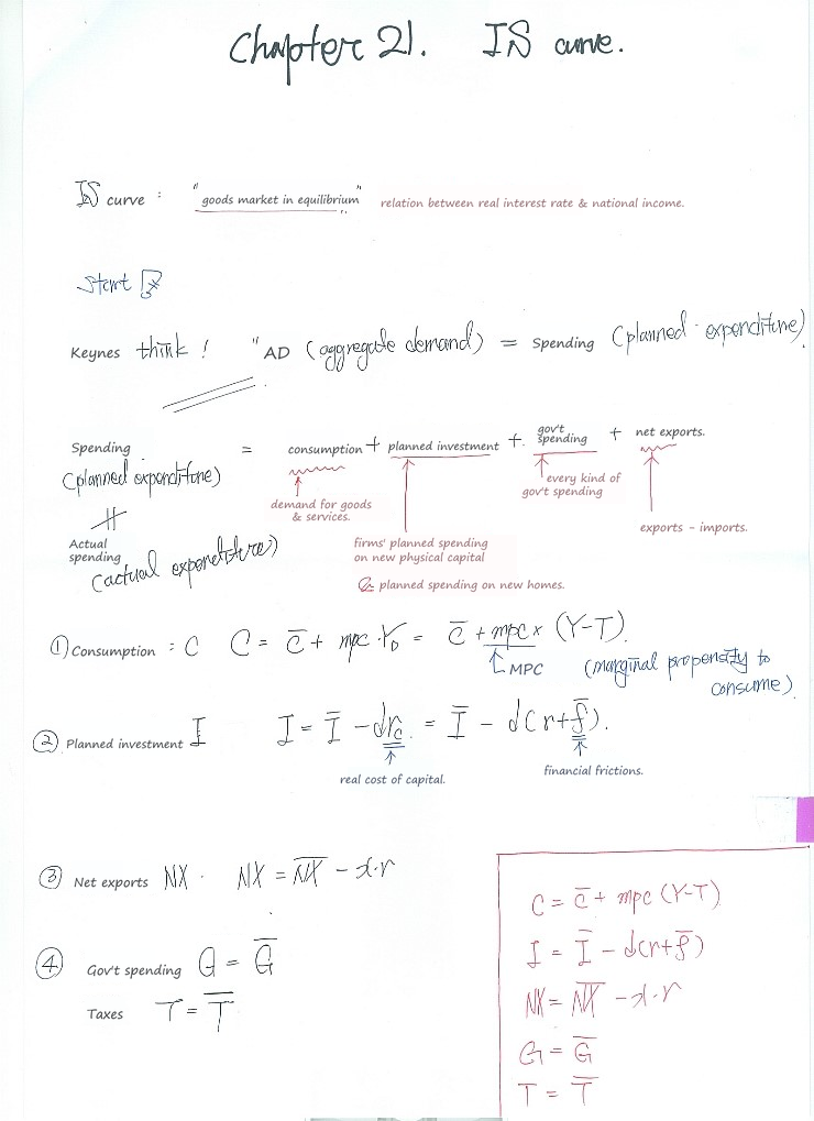 Handwritten notes on the IS curve and the components of planned expenditure