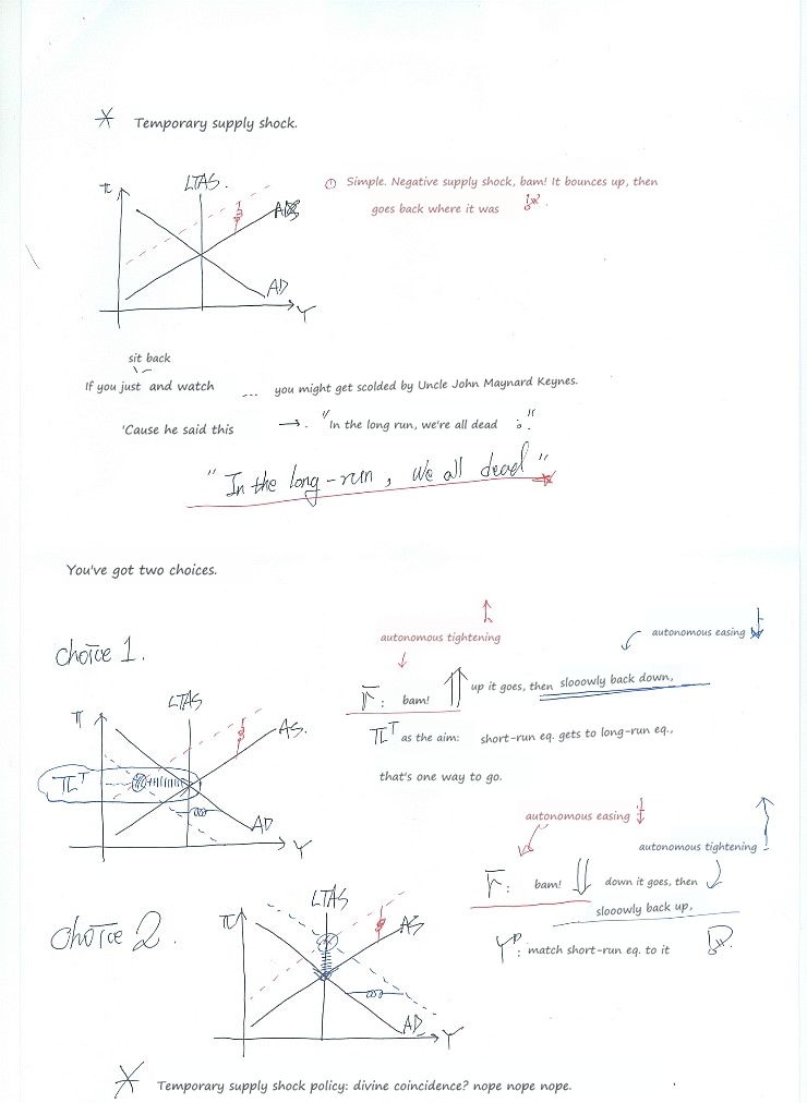 Handwritten graphs and notes on a temporary supply shock, Keynes&rsquo;s long-run quip and the two policy choices