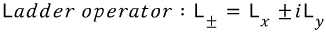 Definition of the raising and lowering operators L plus and L minus