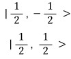 The two basis kets shown as linearly independent spin states