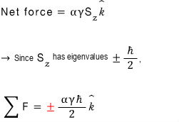 The two quantized vertical forces obtained from the two S z eigenvalues