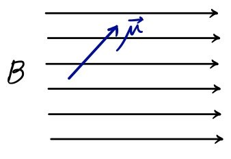 A magnetic moment vector placed in a uniform magnetic field