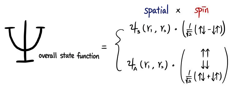 Allowed fermion pairings: symmetric spatial state with spin singlet, or antisymmetric spatial state with spin triplet