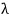 A single lambda symbol representing coefficient matching by perturbative order