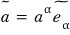 ã = a^α ẽ_α